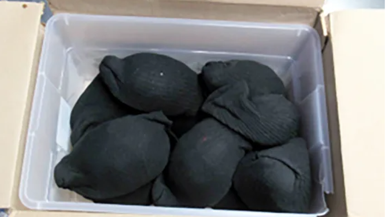 The turtles were found inside socks. Pic: US Fish and Wildlife Service