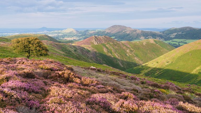 Stock image of Long Mynd in Shropshire. Pic: iStock