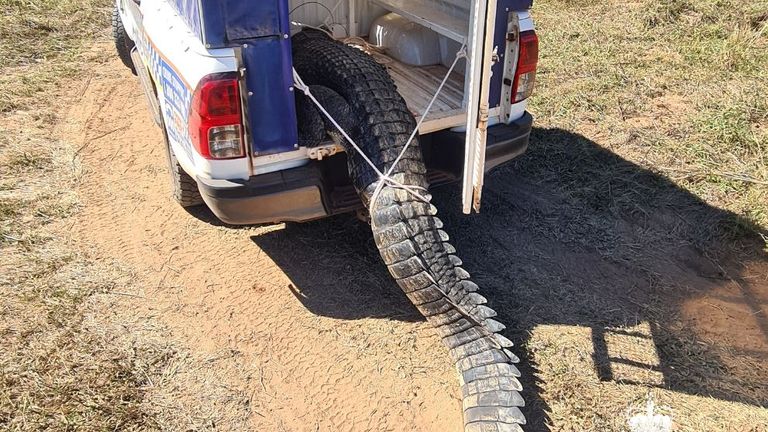 The croc had 'moved into' a local river. Pic: Northern Territory Police