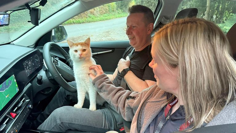 Beans the cat turned up 300 miles away in Coventry. Pic: PA