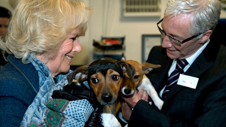 Camilla, Duchess of Cornwall, stands next to television presenter Paul O'Grady while holding her two adopted dogs Bluebell and Beth during a visit to the the Battersea Dogs & Cats Home in London on December 12, 2012. The Duchess rehomed Bluebell and Beth, both Jack Russell Terriers. AFP PHOTO / POOL / ADRIAN DENNIS