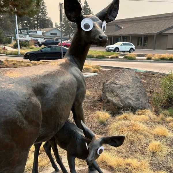 Googly eyes were also placed on a statue of two deer. Pic: City of Bend, Oregon